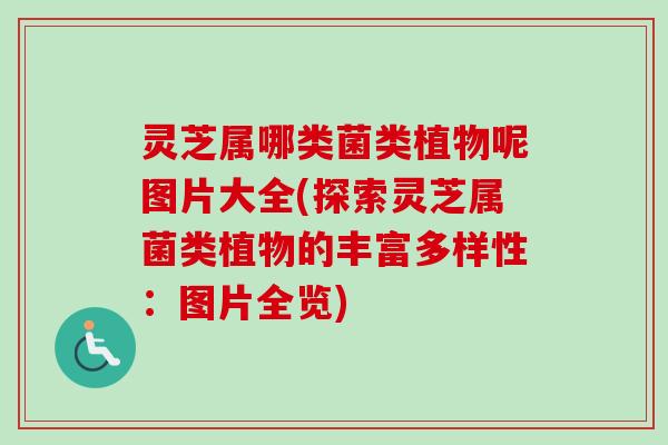 灵芝属哪类菌类植物呢图片大全(探索灵芝属菌类植物的丰富多样性：图片全览)-第1张图片-卓越灵芝孢子粉
