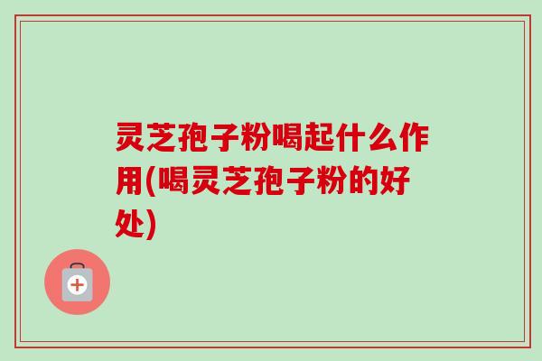 灵芝孢子粉喝起什么作用(喝灵芝孢子粉的好处)-第1张图片-卓越灵芝孢子粉