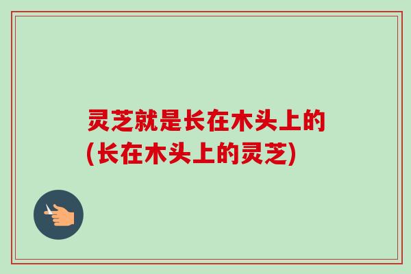灵芝就是长在木头上的(长在木头上的灵芝)-第1张图片-卓越灵芝孢子粉 灵芝就是长在木头上的(长在木头上的灵芝)-第1张图片-卓越灵芝孢子粉