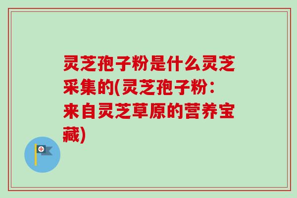 灵芝孢子粉是什么灵芝采集的(灵芝孢子粉：来自灵芝草原的营养宝藏)-第1张图片-卓越灵芝孢子粉
