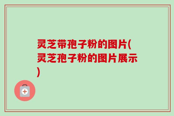 灵芝带孢子粉的图片(灵芝孢子粉的图片展示)-第1张图片-卓越灵芝孢子粉 灵芝带孢子粉的图片(灵芝孢子粉的图片展示)-第1张图片-卓越灵芝孢子粉