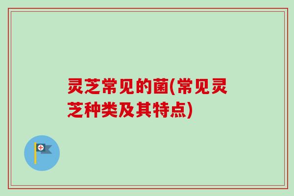 灵芝常见的菌(常见灵芝种类及其特点)-第1张图片-卓越灵芝孢子粉
