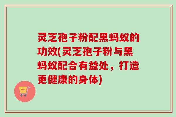 灵芝孢子粉配黑蚂蚁的功效(灵芝孢子粉与黑蚂蚁配合有益处，打造更健康的身体)-第1张图片-卓越灵芝孢子粉