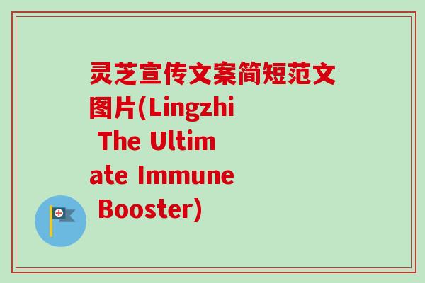 灵芝宣传文案简短范文图片(Lingzhi The Ultimate Immune Booster)-第1张图片-卓越灵芝孢子粉