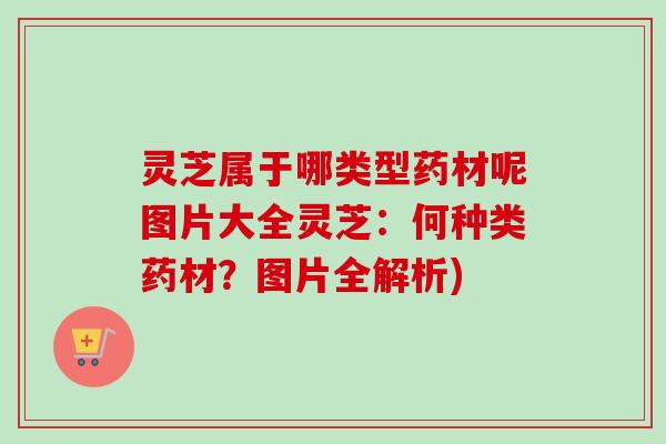 灵芝属于哪类型药材呢图片大全灵芝：何种类药材？图片全解析)-第1张图片-卓越灵芝孢子粉