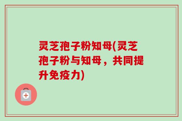 灵芝孢子粉知母(灵芝孢子粉与知母，共同提升免疫力)-第1张图片-卓越灵芝孢子粉