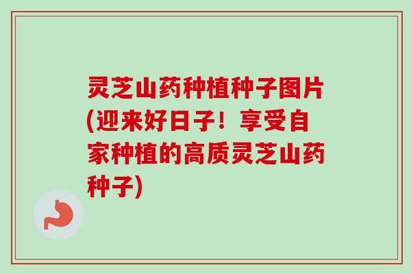 灵芝山药种植种子图片(迎来好日子!享受自家种植的高质灵芝山药种子)-第1张图片-卓越灵芝孢子粉 灵芝山药种植种子图片(迎来好日子!享受自家种植的高质灵芝山药种子)-第1张图片-卓越灵芝孢子粉