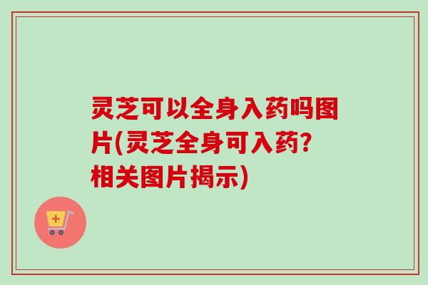 灵芝可以全身入药吗图片(灵芝全身可入药?相关图片揭示)-第1张图片-卓越灵芝孢子粉 灵芝可以全身入药吗图片(灵芝全身可入药?相关图片揭示)-第1张图片-卓越灵芝孢子粉
