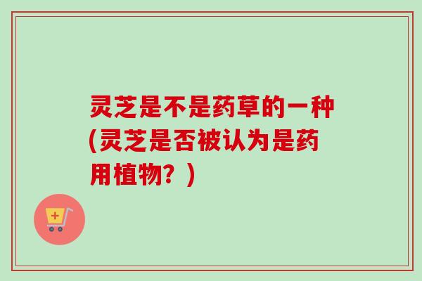 灵芝是不是药草的一种(灵芝是否被认为是药用植物？)-第1张图片-卓越灵芝孢子粉