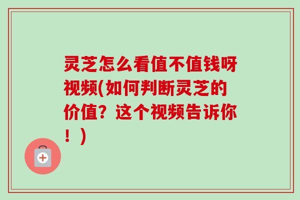 灵芝怎么看值不值钱呀视频(如何判断灵芝的价值?这个视频告诉你!)-第1张图片-卓越灵芝孢子粉 灵芝怎么看值不值钱呀视频(如何判断灵芝的价值?这个视频告诉你!)-第1张图片-卓越灵芝孢子粉