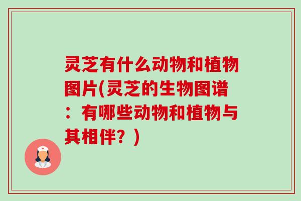 灵芝有什么动物和植物图片(灵芝的生物图谱:有哪些动物和植物与其相伴?)-第1张图片-卓越灵芝孢子粉 灵芝有什么动物和植物图片(灵芝的生物图谱:有哪些动物和植物与其相伴?)-第1张图片-卓越灵芝孢子粉
