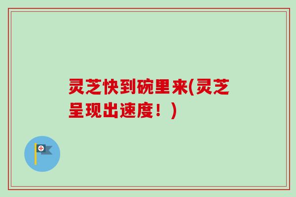 灵芝快到碗里来(灵芝呈现出速度!)-第1张图片-卓越灵芝孢子粉 灵芝快到碗里来(灵芝呈现出速度!)-第1张图片-卓越灵芝孢子粉
