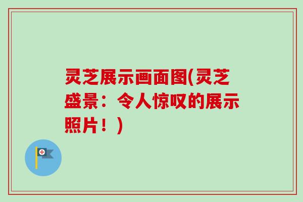 灵芝展示画面图(灵芝盛景:令人惊叹的展示照片!)-第1张图片-卓越灵芝孢子粉 灵芝展示画面图(灵芝盛景:令人惊叹的展示照片!)-第1张图片-卓越灵芝孢子粉