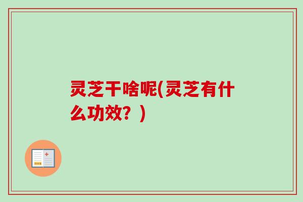 灵芝干啥呢(灵芝有什么功效?)-第1张图片-卓越灵芝孢子粉 灵芝干啥呢(灵芝有什么功效?)-第1张图片-卓越灵芝孢子粉