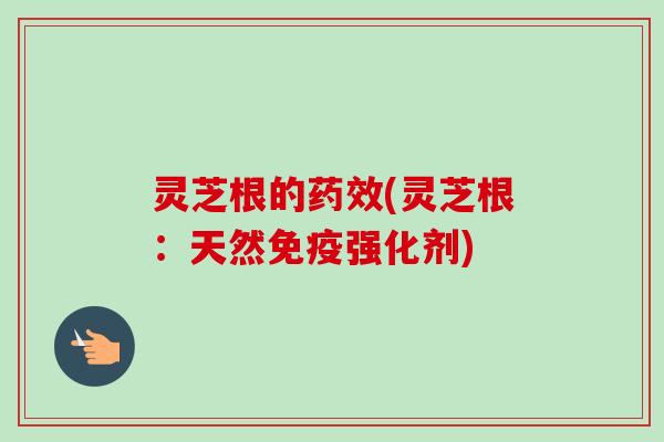 灵芝根的药效(灵芝根:天然免疫强化剂)-第1张图片-卓越灵芝孢子粉 灵芝根的药效(灵芝根:天然免疫强化剂)-第1张图片-卓越灵芝孢子粉