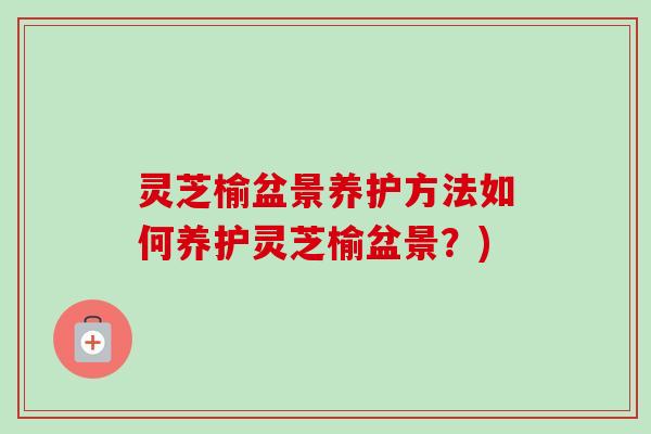 灵芝榆盆景养护方法如何养护灵芝榆盆景?)-第1张图片-卓越灵芝孢子粉 灵芝榆盆景养护方法如何养护灵芝榆盆景?)-第1张图片-卓越灵芝孢子粉