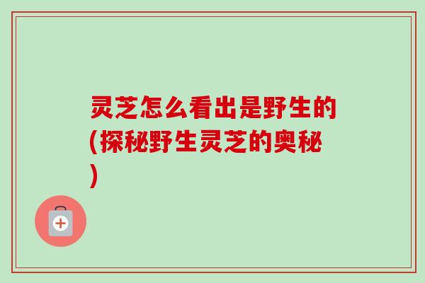 灵芝怎么看出是野生的(探秘野生灵芝的奥秘)-第1张图片-卓越灵芝孢子粉 灵芝怎么看出是野生的(探秘野生灵芝的奥秘)-第1张图片-卓越灵芝孢子粉