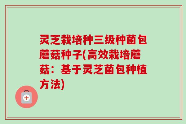 灵芝栽培种三级种菌包蘑菇种子(高效栽培蘑菇:基于灵芝菌包种植方法)-第1张图片-卓越灵芝孢子粉 灵芝栽培种三级种菌包蘑菇种子(高效栽培蘑菇:基于灵芝菌包种植方法)-第1张图片-卓越灵芝孢子粉