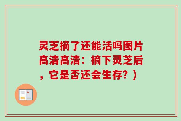 灵芝摘了还能活吗图片高清高清:摘下灵芝后,它是否还会生存?)-第1张图片-卓越灵芝孢子粉 灵芝摘了还能活吗图片高清高清:摘下灵芝后,它是否还会生存?)-第1张图片-卓越灵芝孢子粉