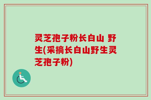 灵芝孢子粉长白山 野生(采摘长白山野生灵芝孢子粉)-第1张图片-卓越灵芝孢子粉 灵芝孢子粉长白山 野生(采摘长白山野生灵芝孢子粉)-第1张图片-卓越灵芝孢子粉