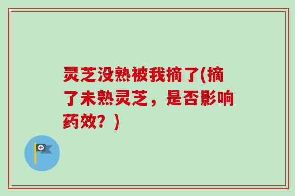 灵芝没熟被我摘了(摘了未熟灵芝,是否影响药效?)-第1张图片-卓越灵芝孢子粉 灵芝没熟被我摘了(摘了未熟灵芝,是否影响药效?)-第1张图片-卓越灵芝孢子粉
