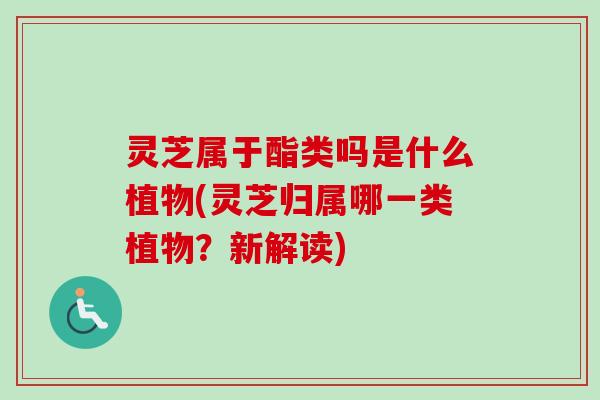 灵芝属于酯类吗是什么植物(灵芝归属哪一类植物？新解读)-第1张图片-卓越灵芝孢子粉