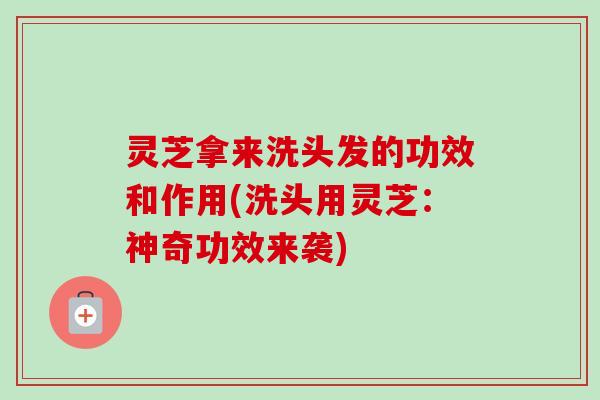 灵芝拿来洗头发的功效和作用(洗头用灵芝:神奇功效来袭)-第1张图片-卓越灵芝孢子粉 灵芝拿来洗头发的功效和作用(洗头用灵芝:神奇功效来袭)-第1张图片-卓越灵芝孢子粉
