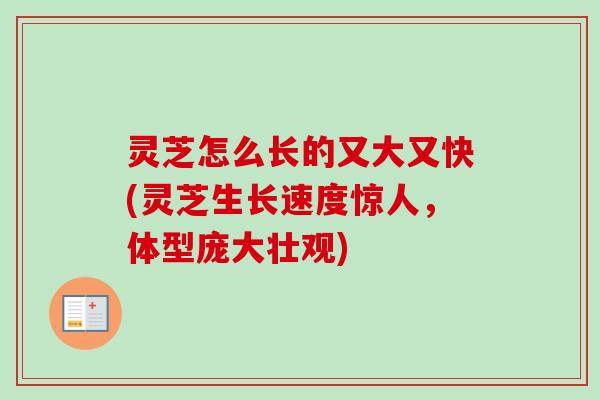灵芝怎么长的又大又快(灵芝生长速度惊人,体型庞大壮观)-第1张图片-卓越灵芝孢子粉 灵芝怎么长的又大又快(灵芝生长速度惊人,体型庞大壮观)-第1张图片-卓越灵芝孢子粉