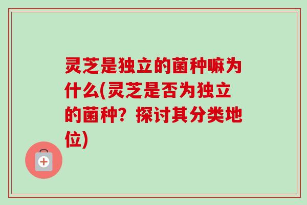灵芝是独立的菌种嘛为什么(灵芝是否为独立的菌种?探讨其分类地位)-第1张图片-卓越灵芝孢子粉 灵芝是独立的菌种嘛为什么(灵芝是否为独立的菌种?探讨其分类地位)-第1张图片-卓越灵芝孢子粉