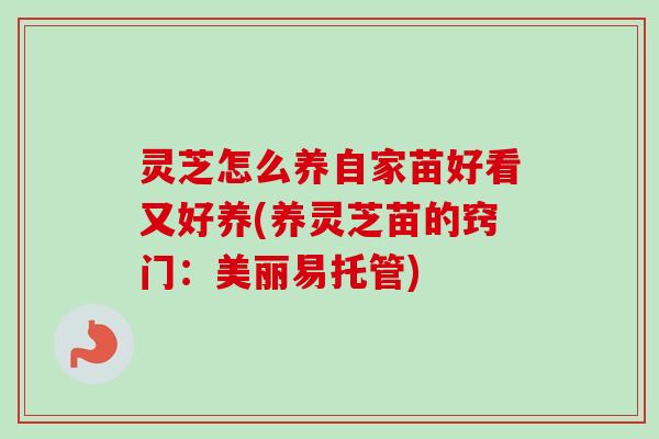 灵芝怎么养自家苗好看又好养(养灵芝苗的窍门:美丽易托管)-第1张图片-卓越灵芝孢子粉 灵芝怎么养自家苗好看又好养(养灵芝苗的窍门:美丽易托管)-第1张图片-卓越灵芝孢子粉
