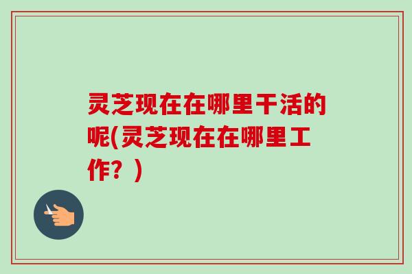 灵芝现在在哪里干活的呢(灵芝现在在哪里工作?)-第1张图片-卓越灵芝孢子粉 灵芝现在在哪里干活的呢(灵芝现在在哪里工作?)-第1张图片-卓越灵芝孢子粉