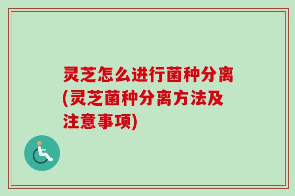 灵芝怎么进行菌种分离(灵芝菌种分离方法及注意事项)-第1张图片-卓越灵芝孢子粉 灵芝怎么进行菌种分离(灵芝菌种分离方法及注意事项)-第1张图片-卓越灵芝孢子粉