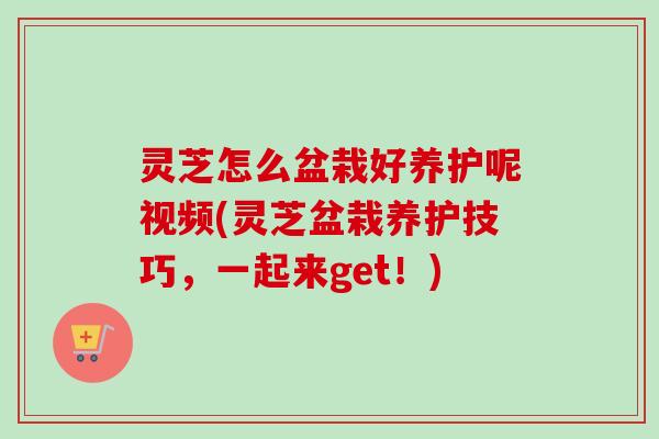灵芝怎么盆栽好养护呢视频(灵芝盆栽养护技巧,一起来get!)-第1张图片-卓越灵芝孢子粉 灵芝怎么盆栽好养护呢视频(灵芝盆栽养护技巧,一起来get!)-第1张图片-卓越灵芝孢子粉