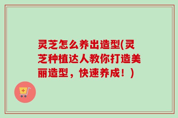 灵芝怎么养出造型(灵芝种植达人教你打造美丽造型，快速养成！)-第1张图片-卓越灵芝孢子粉