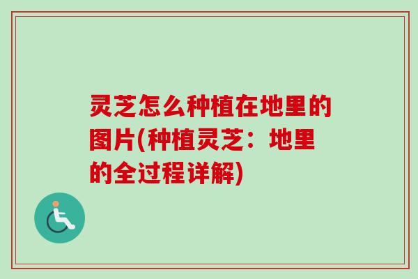 灵芝怎么种植在地里的图片(种植灵芝:地里的全过程详解)-第1张图片-卓越灵芝孢子粉 灵芝怎么种植在地里的图片(种植灵芝:地里的全过程详解)-第1张图片-卓越灵芝孢子粉