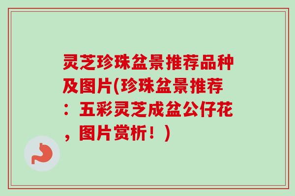 灵芝珍珠盆景推荐品种及图片(珍珠盆景推荐:五彩灵芝成盆公仔花,图片赏析!)-第1张图片-卓越灵芝孢子粉 灵芝珍珠盆景推荐品种及图片(珍珠盆景推荐:五彩灵芝成盆公仔花,图片赏析!)-第1张图片-卓越灵芝孢子粉