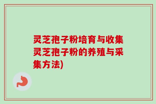 灵芝孢子粉培育与收集灵芝孢子粉的养殖与采集方法)-第1张图片-卓越灵芝孢子粉 灵芝孢子粉培育与收集灵芝孢子粉的养殖与采集方法)-第1张图片-卓越灵芝孢子粉