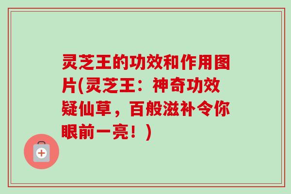 灵芝王的功效和作用图片(灵芝王:神奇功效疑仙草,百般滋补令你眼前一亮!)-第1张图片-卓越灵芝孢子粉 灵芝王的功效和作用图片(灵芝王:神奇功效疑仙草,百般滋补令你眼前一亮!)-第1张图片-卓越灵芝孢子粉