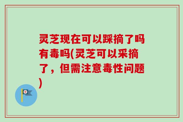 灵芝现在可以踩摘了吗有毒吗(灵芝可以采摘了,但需注意毒性问题)-第1张图片-卓越灵芝孢子粉 灵芝现在可以踩摘了吗有毒吗(灵芝可以采摘了,但需注意毒性问题)-第1张图片-卓越灵芝孢子粉