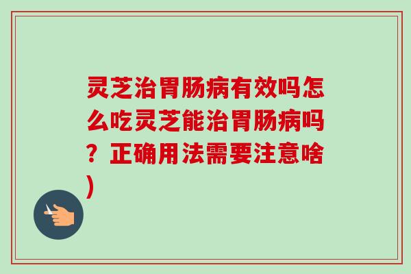 灵芝治胃肠病有效吗怎么吃灵芝能治胃肠病吗？正确用法需要注意啥)-第1张图片-卓越灵芝孢子粉