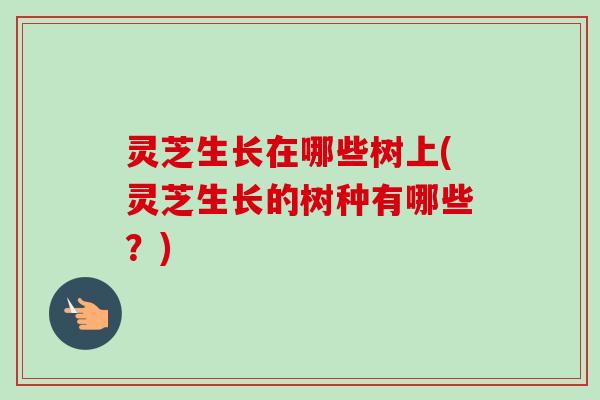 灵芝生长在哪些树上(灵芝生长的树种有哪些？)-第1张图片-卓越灵芝孢子粉