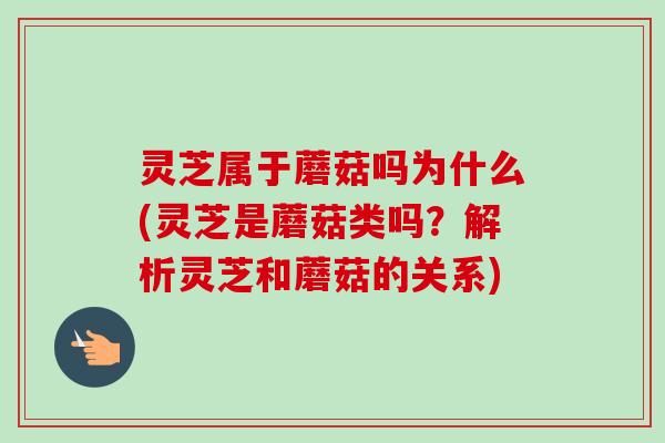 灵芝属于蘑菇吗为什么(灵芝是蘑菇类吗?解析灵芝和蘑菇的关系)-第1张图片-卓越灵芝孢子粉 灵芝属于蘑菇吗为什么(灵芝是蘑菇类吗?解析灵芝和蘑菇的关系)-第1张图片-卓越灵芝孢子粉