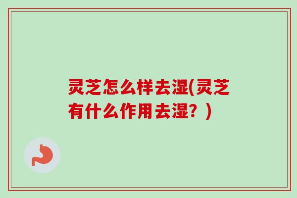 灵芝怎么样去湿(灵芝有什么作用去湿?)-第1张图片-卓越灵芝孢子粉 灵芝怎么样去湿(灵芝有什么作用去湿?)-第1张图片-卓越灵芝孢子粉
