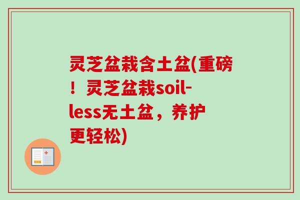 灵芝盆栽含土盆(重磅！灵芝盆栽soil-less无土盆，养护更轻松)-第1张图片-卓越灵芝孢子粉