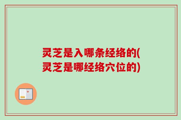灵芝是入哪条经络的(灵芝是哪经络穴位的)-第1张图片-卓越灵芝孢子粉 灵芝是入哪条经络的(灵芝是哪经络穴位的)-第1张图片-卓越灵芝孢子粉