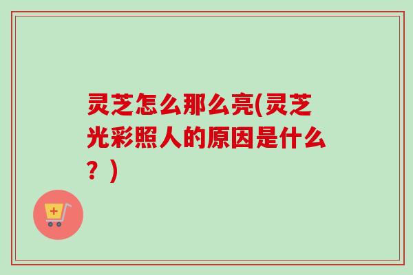 灵芝怎么那么亮(灵芝光彩照人的原因是什么?)-第1张图片-卓越灵芝孢子粉 灵芝怎么那么亮(灵芝光彩照人的原因是什么?)-第1张图片-卓越灵芝孢子粉