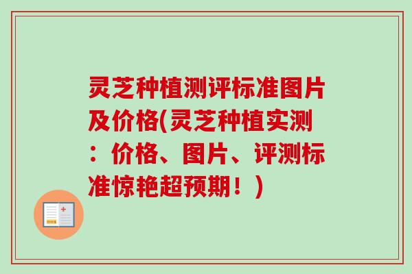 灵芝种植测评标准图片及价格(灵芝种植实测:价格、图片、评测标准惊艳超预期!)-第1张图片-卓越灵芝孢子粉 灵芝种植测评标准图片及价格(灵芝种植实测:价格、图片、评测标准惊艳超预期!)-第1张图片-卓越灵芝孢子粉