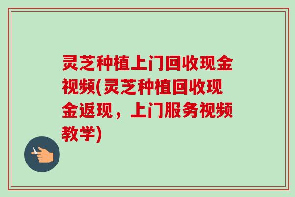 灵芝种植上门回收现金视频(灵芝种植回收现金返现,上门服务视频教学)-第1张图片-卓越灵芝孢子粉 灵芝种植上门回收现金视频(灵芝种植回收现金返现,上门服务视频教学)-第1张图片-卓越灵芝孢子粉