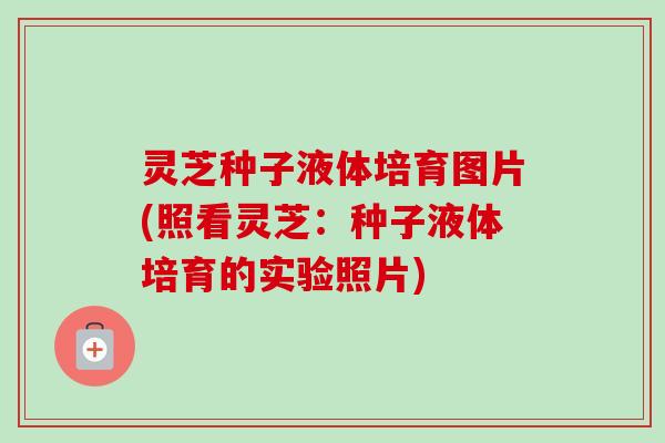 灵芝种子液体培育图片(照看灵芝:种子液体培育的实验照片)-第1张图片-卓越灵芝孢子粉 灵芝种子液体培育图片(照看灵芝:种子液体培育的实验照片)-第1张图片-卓越灵芝孢子粉