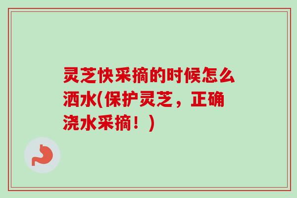 灵芝快采摘的时候怎么洒水(保护灵芝,正确浇水采摘!)-第1张图片-卓越灵芝孢子粉 灵芝快采摘的时候怎么洒水(保护灵芝,正确浇水采摘!)-第1张图片-卓越灵芝孢子粉